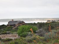 Cottages on the estate