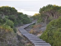 Boardwalk to Beach